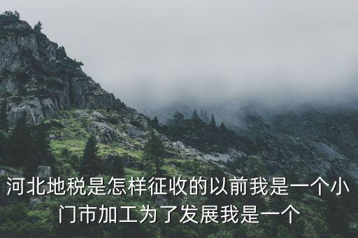 河北省地稅報稅征收方式是什么，河北地稅申報個人所得稅