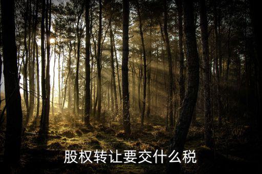 個(gè)人股權(quán)轉(zhuǎn)讓要交什么稅，個(gè)人股權(quán)轉(zhuǎn)讓涉及哪些稅