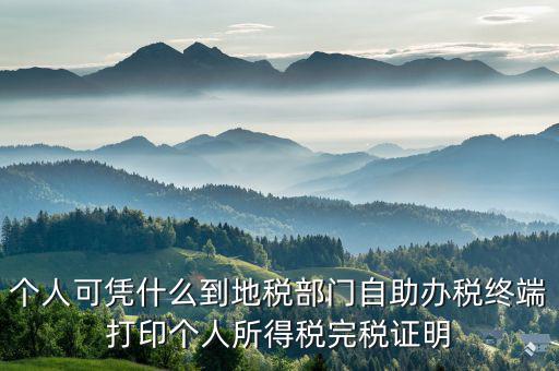 稅務(wù)局自助辦稅服務(wù)終端是什么，自助辦稅終端 報稅