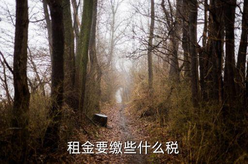 承租者租金交什么稅，租金要繳些什么稅