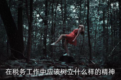 中國(guó)稅務(wù)精神是什么2018，在稅務(wù)工作中應(yīng)該樹立什么樣的精神