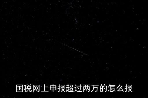 國(guó)稅網(wǎng)報(bào)入口是什么，怎樣才能進(jìn)入小規(guī)模納稅人增值稅網(wǎng)上申報(bào)系統(tǒng)