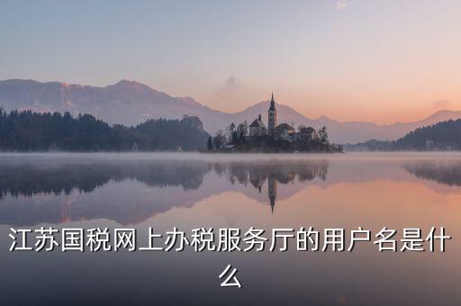 網(wǎng)上辦稅平臺帳號是什么，地稅網(wǎng)上申報用什么帳號