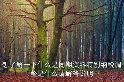 關(guān)聯(lián)申報同期資料是什么，想了解一下什么是同期資料特別納稅調(diào)整是什么請解答說明
