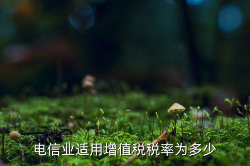 電信服務(wù)什么時(shí)候繳納增值稅，電信業(yè)適用增值稅稅率為多少