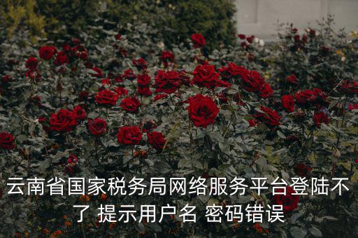 云南稅控服務(wù)平臺(tái)的網(wǎng)址是什么，云南國(guó)稅開票系統(tǒng)網(wǎng)址