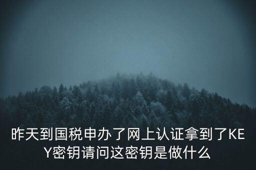 稅務(wù)認(rèn)證密碼是什么，昨天到國稅申辦了網(wǎng)上認(rèn)證拿到了KEY密鑰請問這密鑰是做什么