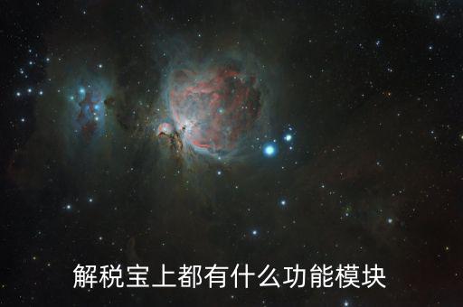 稅寶是什么意思，解稅寶上都有什么功能模塊
