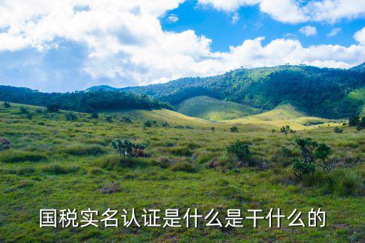 深圳國(guó)稅實(shí)名認(rèn)證到什么時(shí)候，電子稅務(wù)局實(shí)名認(rèn)證有時(shí)間限制嗎