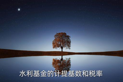 水利基金計(jì)算基數(shù)是什么意思，水利基金的計(jì)提基數(shù)和稅率
