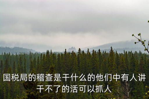 國稅局查什么的，國稅局的稽查是干什么的他們中有人講干不了的活可以抓人