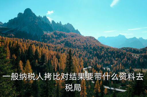 去稅務(wù)拷初始化文件帶什么東西，一般納稅人拷比對結(jié)果要帶什么資料去稅局