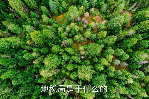 地稅主要負(fù)責(zé)什么工作總結(jié)，地稅局一般做什么工作啊