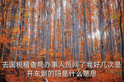 國(guó)稅說(shuō)需要運(yùn)維是什么意思，什么條件需要辦理國(guó)稅我是一個(gè)月收入2千左右的維修小檔口也要輸