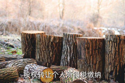股權(quán)轉(zhuǎn)讓如何繳納個(gè)稅，個(gè)人股權(quán)轉(zhuǎn)讓如何納稅