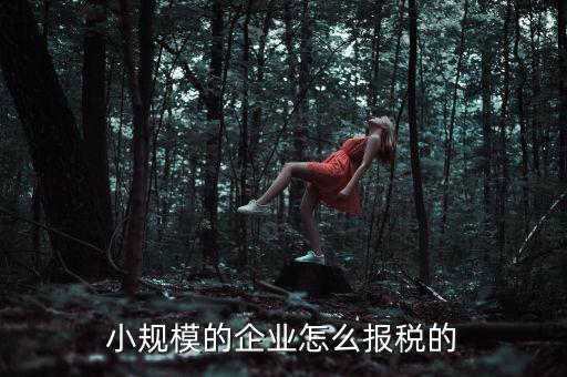 小規(guī)模納稅人如何申報，小規(guī)模增值稅申報流程
