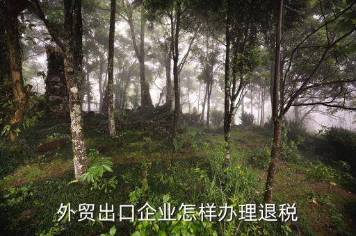 外貿(mào)公司如何退稅，外貿(mào)公司出口產(chǎn)品時(shí)怎么操作才可以退稅