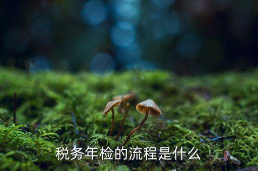 稅務(wù)如何年檢，稅務(wù)年檢的流程是什么