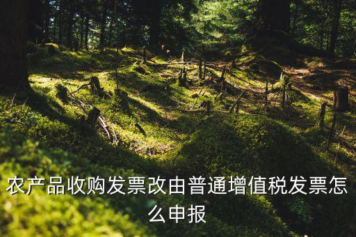 農產品收購發(fā)票如何申報，農產品收購發(fā)票如何開