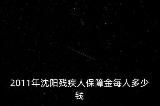 沈陽市殘疾人保障金如何計算，2011年沈陽殘疾人保障金每人多少錢