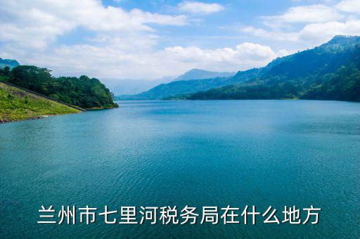 甘肅省國(guó)稅如何申報(bào)，誰(shuí)有甘肅省國(guó)稅網(wǎng)上申報(bào)傳輸平臺(tái)的網(wǎng)址