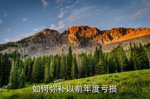 如何彌補(bǔ)以前年度虧損，如何彌補(bǔ)以前年度虧損
