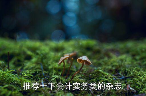納稅這個期刊如何，推薦一下會計實務(wù)類的雜志