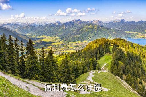 如何提留福利費(fèi)，福利費(fèi)怎么計(jì)提