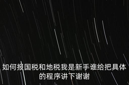 如何報(bào)國(guó)稅和地稅我是新手誰給把具體的程序講下謝謝
