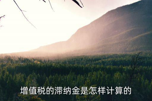 如何計算稅款的滯納金，稅款滯納金怎么算