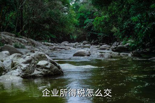 企業(yè)所得稅如何繳納，企業(yè)所得稅如何繳納