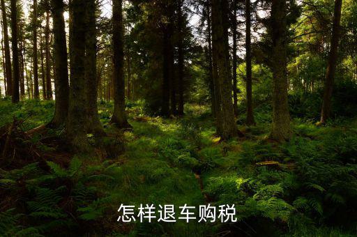 車輛購置稅如何退稅，怎么退車輛購置稅