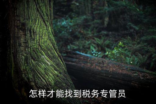 如何查詢辦稅人員，誰能告訴我不去稅務局怎么樣查詢專管員