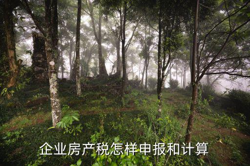 企業(yè)房產(chǎn)稅如何申報(bào)，企業(yè)何如申報(bào)房產(chǎn)稅