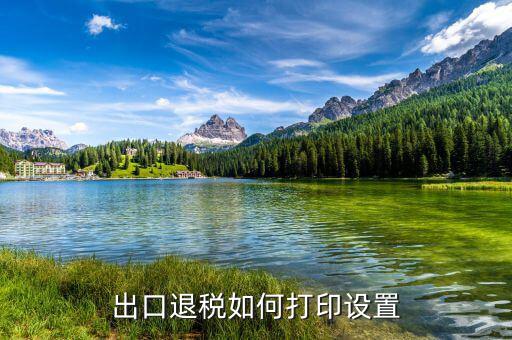 如何打印出口退稅備案表，出口退稅系統(tǒng)內(nèi)的增值稅申報表如何打印