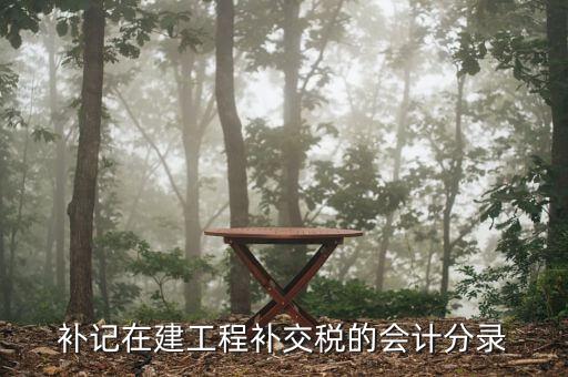 建筑業(yè)增值稅如何補(bǔ)繳，補(bǔ)記在建工程補(bǔ)交稅的會計(jì)分錄