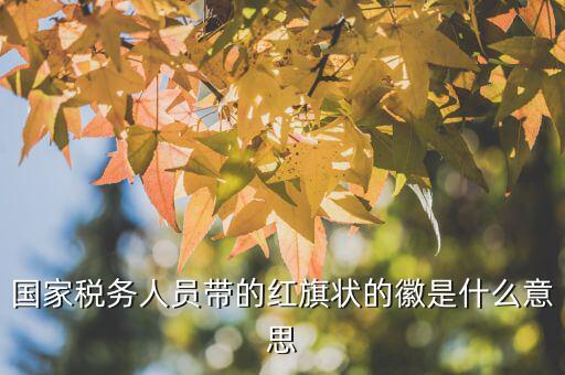 如何佩戴稅務(wù)肩章，地稅局人員的肩章