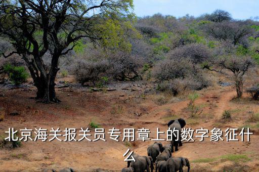 報關(guān)專用章數(shù)字是什么意思，報關(guān)專用章上面有一串?dāng)?shù)字是什么意思