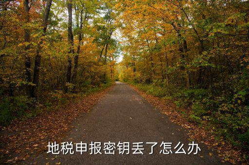武漢地稅密鑰如何補辦，地稅報稅key掉了補辦需要什么手續(xù)要多少錢