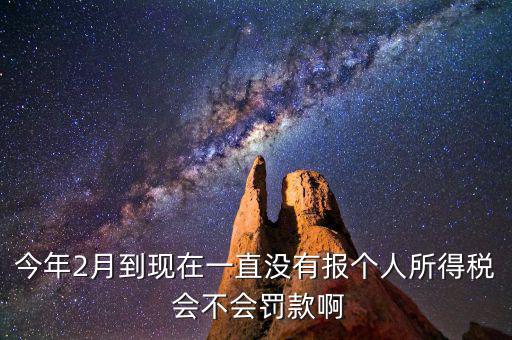 個(gè)稅申報(bào)不報(bào)會(huì)如何，個(gè)人所得稅自行申報(bào)不去做有什么危害