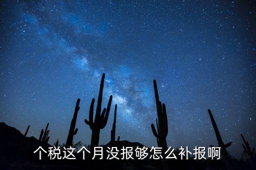 如何補(bǔ)報(bào)個(gè)人所得稅，個(gè)人所得稅報(bào)錯(cuò)了怎么補(bǔ)報(bào)