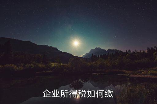 企業(yè)所得稅如何繳稅，企業(yè)所得稅如何繳納