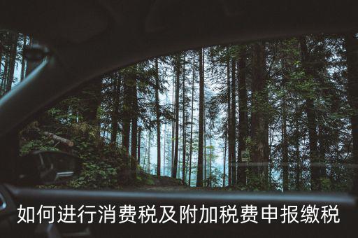 附加稅如何才能申報，如何進行消費稅及附加稅費申報繳稅