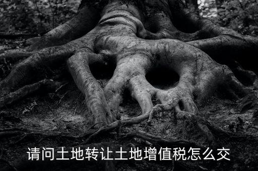 土地增值稅如何繳納，請(qǐng)問(wèn)土地轉(zhuǎn)讓土地增值稅怎么交