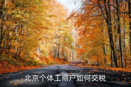 北京個(gè)體如何繳稅，北京個(gè)體戶怎么交稅