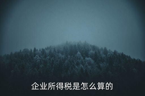 公司所得稅如何計算，企業(yè)所得稅該怎么計算