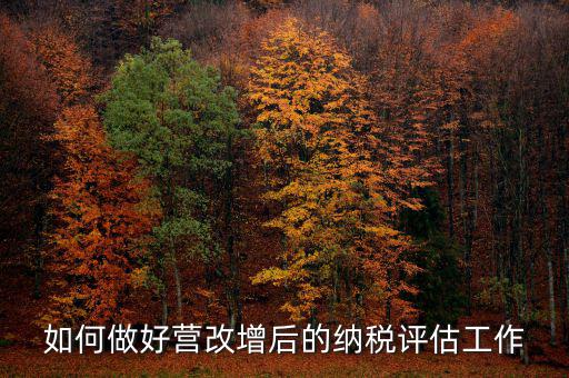 如何做好納稅評估，企業(yè)納稅評估的方式方法