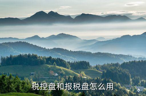 如何使用稅控盤報稅，求金稅盤如何在電腦上報稅操作流程