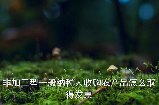 農產品收購發(fā)票如何，農產品收購發(fā)票如何開