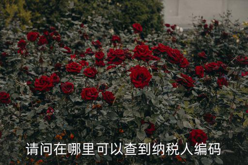 教您如何查詢納稅人代碼，忘記稅務(wù)征收機(jī)關(guān)代碼